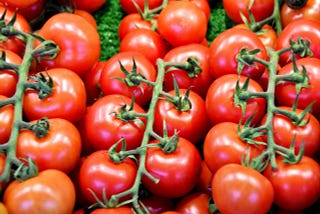 Eating too many tomatoes is bad for you — FaceGalvanic