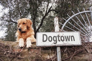 Did the People of Dogtown, St Louis Really Eat Dogs?