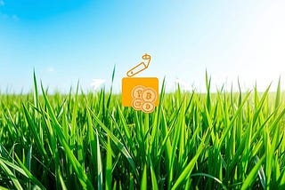 How to Complete Your Grass Airdrop Withdrawal Guide