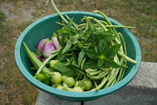 How To Start An Organic Garden