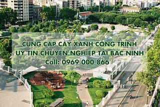 Cây Xanh Bắc Ninh — Cung cấp cây công trình chuyên nghiệp, giá tốt 0969 000 866