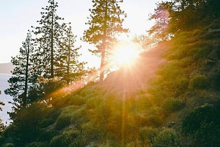 Sunrise from the perspective of the westshore with the sun coming up peaking through trees, brush and a hillside. Lake Tahoe in the left corner in the distance.