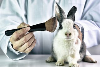 High time for ‘Ban on Animal Testing’ in India