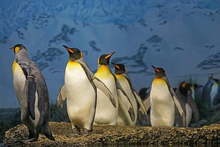 The Penguin