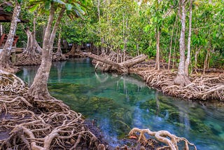 Reclaiming Water in the Bruneian Imaginary
