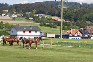 Interview with Polo Club Bern