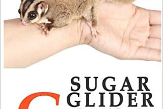 READ/DOWNLOAD) Sugar Gliders: The Essential Guide