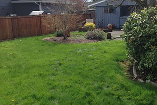 Bellevue Plant and Turf Remodel