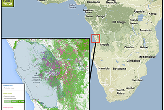 Rebuilding Kissama: war-torn Angola’s only national park affected by deforestation, but…