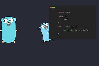 Writing Clean and Efficient Code in Go