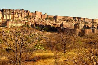 Why go to India?
