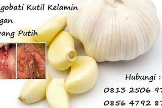 cara mengobati kutil kelamin dg bawang putih
