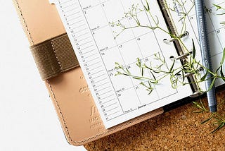 A monthly planner in a brown leather case, with a grey pen on it and a plant over it.