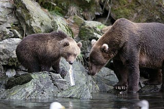 What is the Best Route to Alaska Thru Canada?