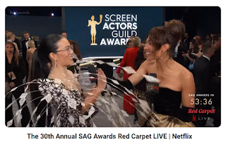 Sag Awards Barbra — Life Achievement / Netflix