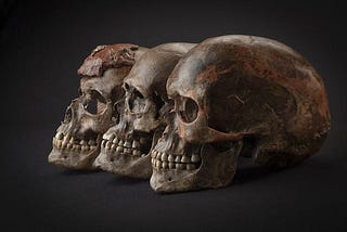 The Skulls From Dolni Vestonice, And Mammoth Killing Gravettian