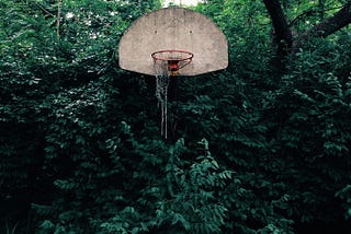 Hoop Dreams by David Flynn