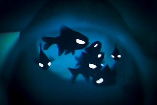 Can’t see? Just use your handy flashlight fish!!