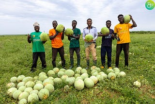 Where the Seeds Are Growing: A Farm’s Bold Step toward Disability Inclusion