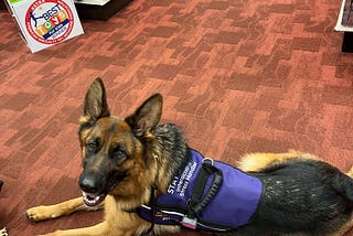 Five things my owner-trained Service Dog has taught me.