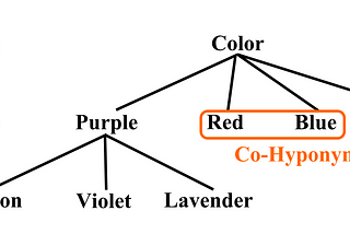 Understanding Hypernyms and Hyponyms in NLP using Python and NLTK