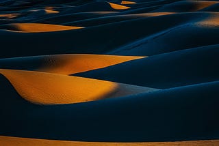 Desert Fox