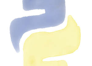 9 python libraries to know if you are a backend develover