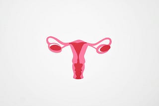 Scientists Bring Renewed Attention to A Long-Dismissed Part of the Female Reproductive System