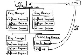 From CTO to Fellow Engineer in Scale Up