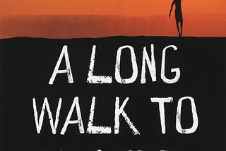 Book Review of “A Long Walk To Water”