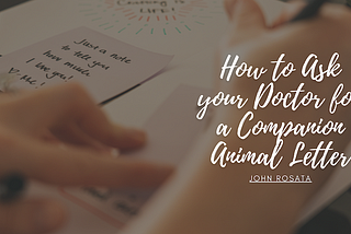 How to Ask your Doctor for a Companion Animal Letter | John Rosata | Animal Companionship