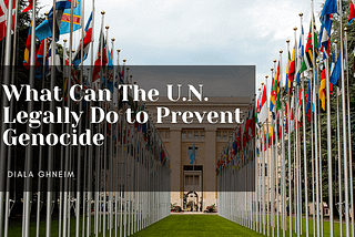 What Can The U.N. Legally Do to Prevent Genocide | Diala Ghneim | Professional Overview
