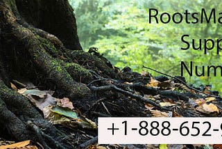 RootsMagic genealogy support