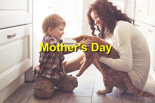 Mother's Day: How Pets Can Provide Comfort and Support