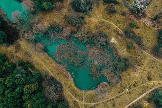 Wetlands & Water. Rehabilitation & Conservation.