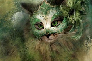 Behind the Lens: Kathy Russell and Masked Kitties