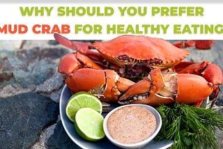 Why should you prefer Mud crab for healthy eating?