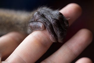 The Silent Strength of Kindness