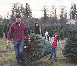 21 ways to make your Christmas kinder to the environment