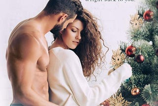 PDF Download%^ A Wright Christmas [Free Ebook]