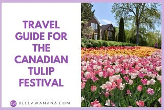 Travel Guide for the Canadian Tulip Festival in Ottawa — Bella Wanana