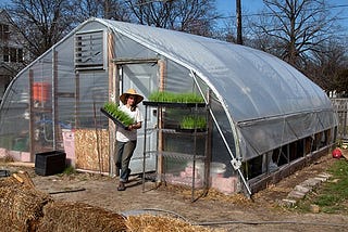 Urban farming is booming, but what does it really yield?