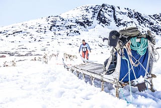 Pack of huskies sitting on ice surrounding sledge in Greenland