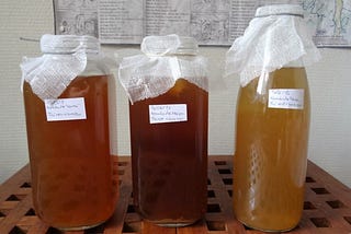 Comment fabriquer du Kombucha, le soda naturel à base de thé