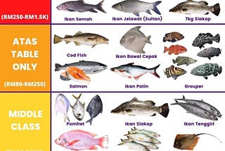 Learning Malay-Different Types of Fishes