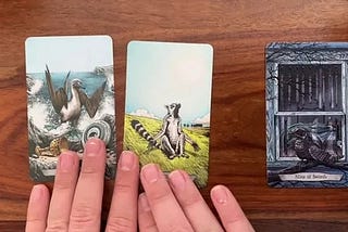 Francia Márquez Santera: Descubre Tu Destino a Través del Tarot y el Horóscopo Telefónico 🌟