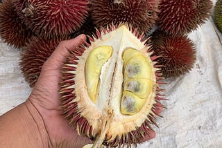 Red Durian