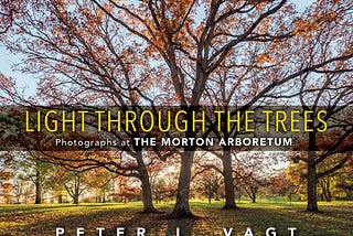 [PDF] Download Light Through the Trees: Photographs at The Morton Arboretum KINDLE_Book by :Peter J.