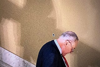 Schumer, A Shadow of Himself, Slips from Courage to Cowardice in One Short Year.