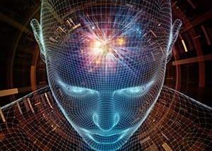 Brain, Soul and Heart…